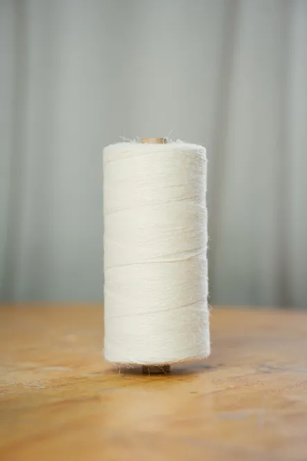 Main Image 6/1 LINTOW F. 0002 Halvbleket