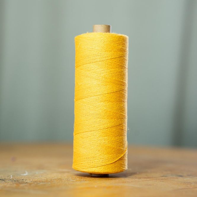 Hovedbilde 16/1 LIN F. 101